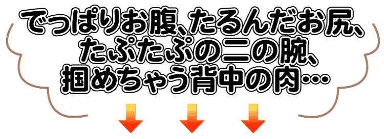 カロリー消費量が凄い！ガンガン脂肪を燃焼させる　サイクルツイスタースリムの商品説明①