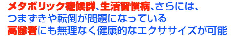 カロリー消費量が凄い！ガンガン脂肪を燃焼させる　サイクルツイスタースリムの商品説明⑥